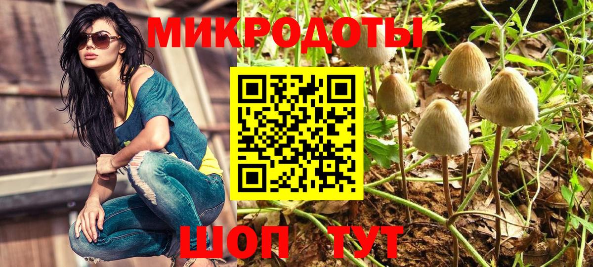 Галлюциногенные грибы MAGIC MUSHROOMS  Вход с VPN  Астрахань 